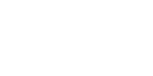 다이렉트 넷 logo